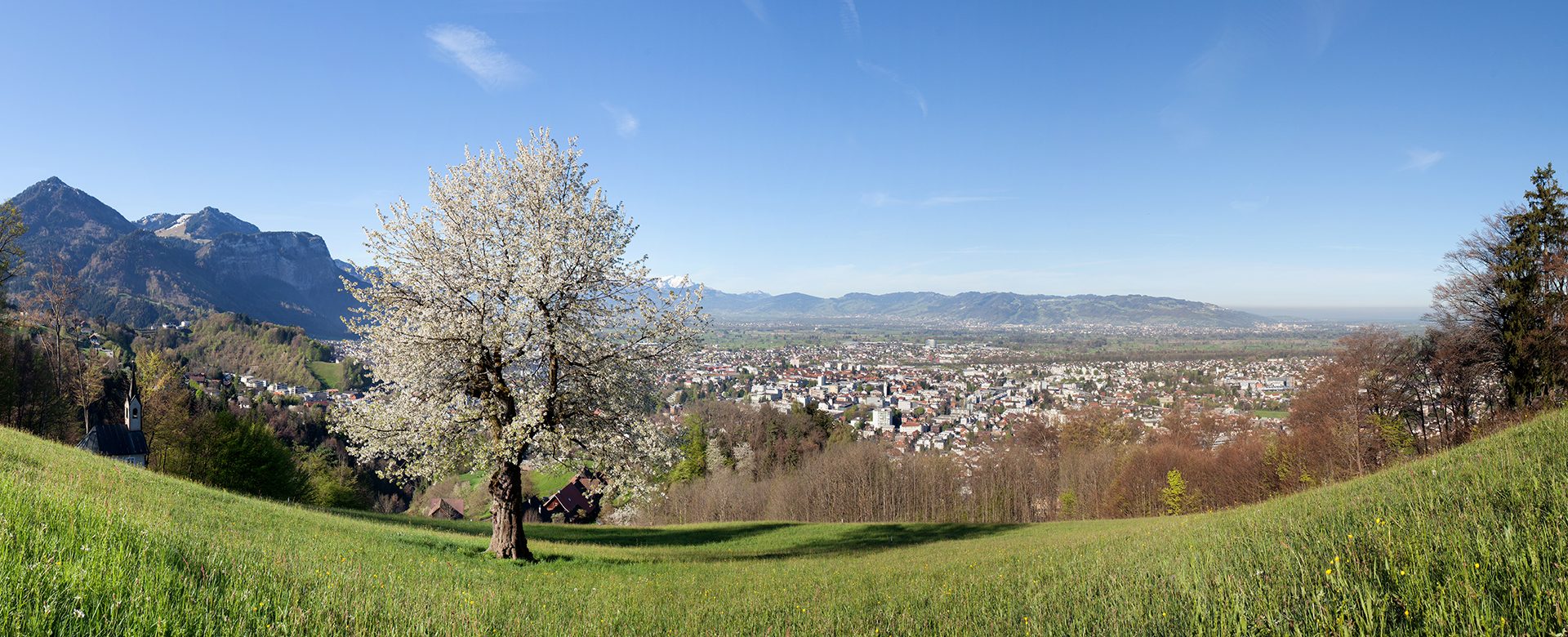 Frühling Umweltsanierung VLV
